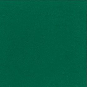 SERV. DUNISOFT 40X40 VERDE OSC. P.60