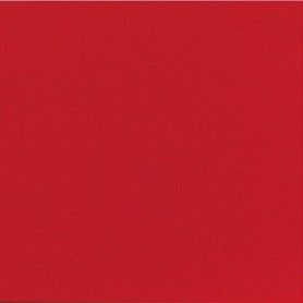 SERV. DUNISOFT 40X40 ROJA P.60