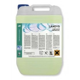 JABON SUPERFICIES LANDYS AMONIACAL 5L.