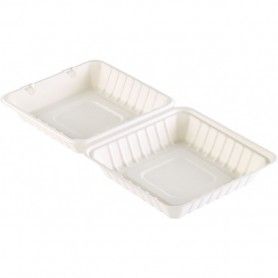 ENV. BAGAZO C/TAPA 23X23X8 1200CC. &(4) P.50