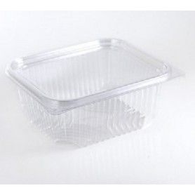 ENVASE TRANSP. PET L0750PE (8) P.50