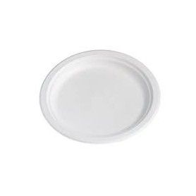 PLATO BAGAZO BLANCO LLANO @22 &(10) P.50