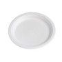PLATO BAGAZO BLANCO LLANO @22 &(10) P.50