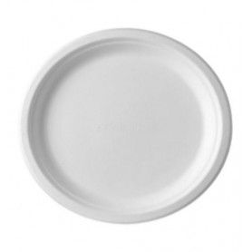PLATO BAGAZO BLANCO LLANO @15 &(20) P.50