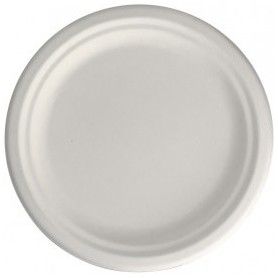 PLATO BAGAZO BLANCO LLANO @17 &(20) P.50