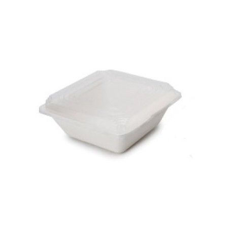 ENV. BAGAZO BLANCO 16X16X6 860CC. &(16) P.50
