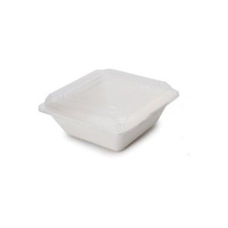 TAPA PLAST.ENV.BAGAZO 17X17X3 860CC &(16) P.50