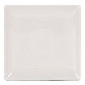 PLATO CUADRADO 21CM.
