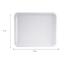 BANDEJA CARTON 31X38 N-12 P.50