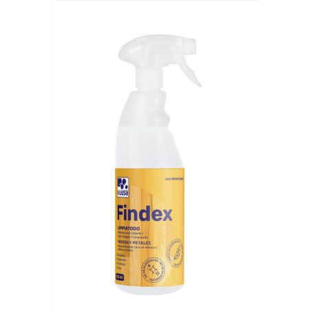 MULTIUSOS FINDEX HOGAR PISTOLA &(6) 750CC.