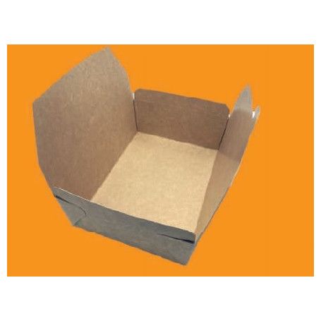 CAJA AMERICA KRAFT 22X16X8 2880CC C.100