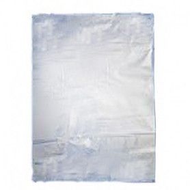 BOLSA TRANSP. 21X27 P.500