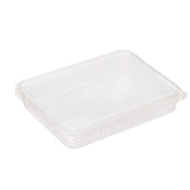 ESTUCHE TRANSP. PLA 1200CC LISH35PLA C.300