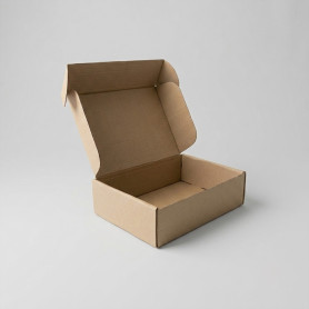 CAJA CARTON MICROCANALKRAFT 38X28X10CM. P.10