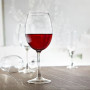 COPA CRISTAL VINO 47CL. PINOT C.6